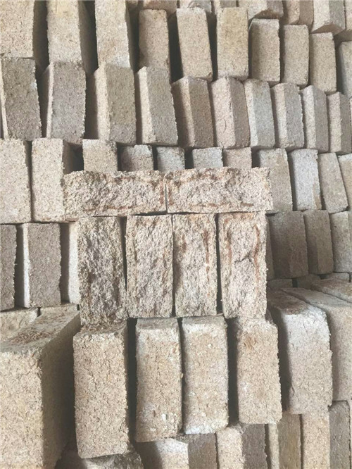 花季视频成人网站圖片